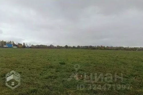 Участок в Новгородская область, Новгородский район, Бронницкое с/пос, ... - Фото 2