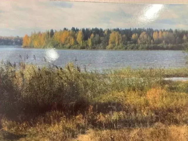 Участок в Вологодская область, Череповецкий район, д. Даргун  (34500.0 ... - Фото 1