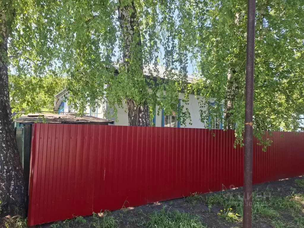 Дом в Новосибирская область, с. Новолуговое ул. Чапаева, 67 (53 м) - Фото 1