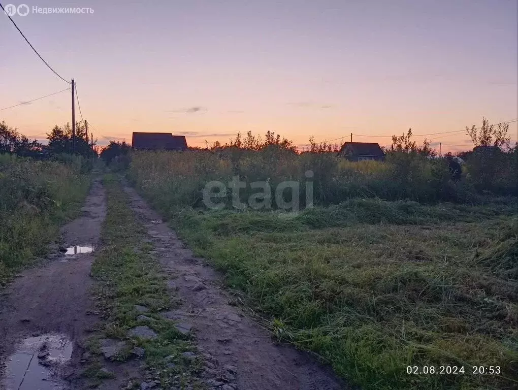Участок в Ярославский муниципальный округ, деревня Кузнечиха ... - Фото 1