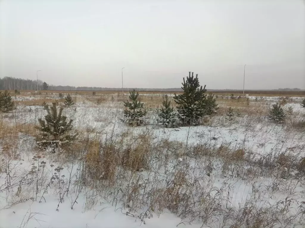Участок в Тюменская область, Тюменский район, Онегин кп  (6.0 сот.) - Фото 0