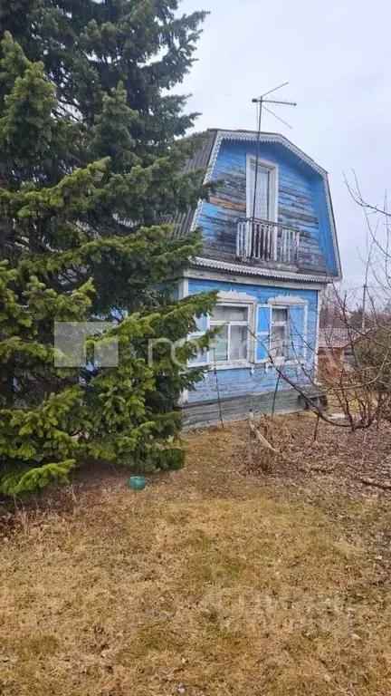 Дом в Новосибирская область, Колыванский район, Электрон СНТ ул. ... - Фото 0