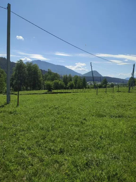 Участок в Алтай, Чемальский район, с. Анос Центральная ул., 41 (20.0 ... - Фото 1