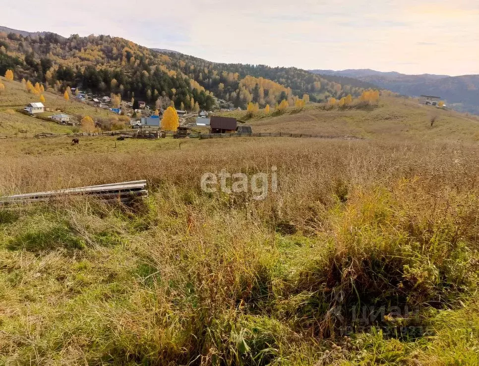 Участок в Алтай, Майминский район, с. Кызыл-Озек  (8.5 сот.) - Фото 1