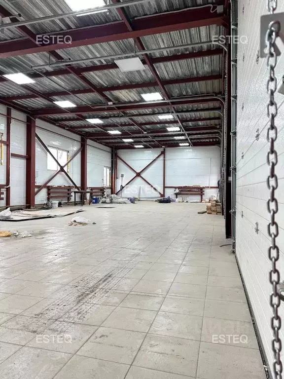 Склад в Новосибирская область, Новосибирск ул. Петухова, 47/2 (240 м) - Фото 1