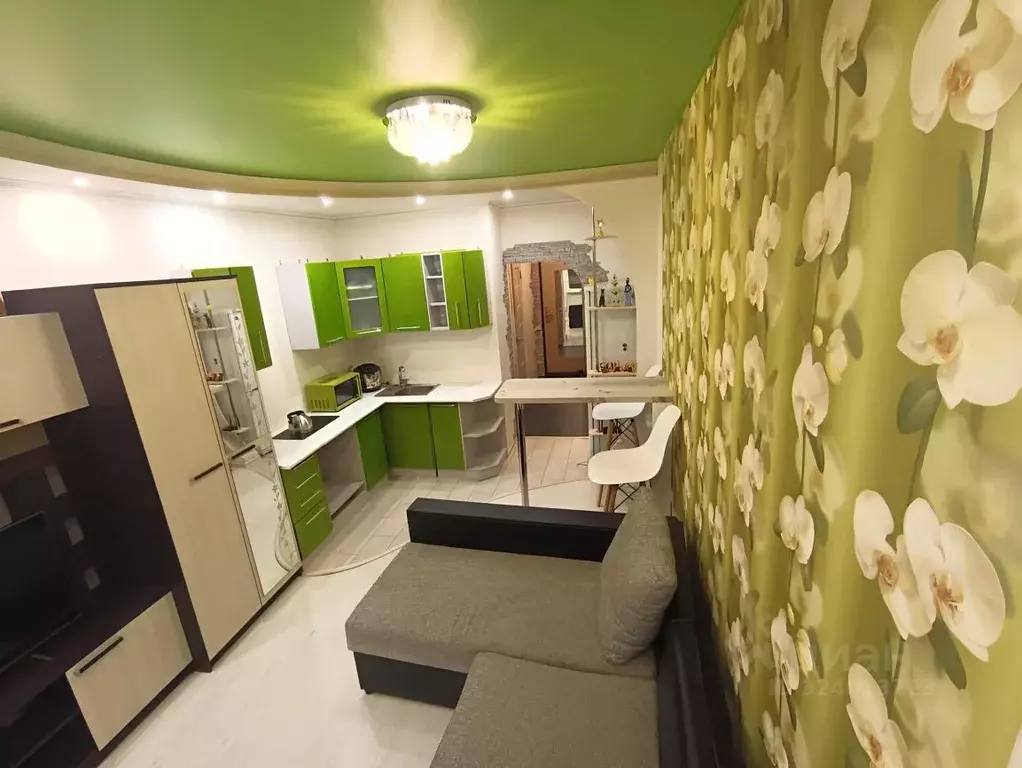 Студия Санкт-Петербург пос. Шушары, пер. Вилеровский, 6 (23.7 м) - Фото 1