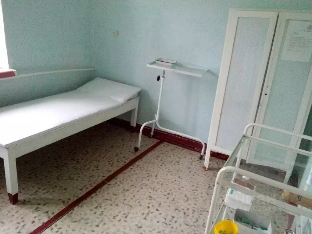 Помещение свободного назначения в Курганская область, Каргапольский ... - Фото 1