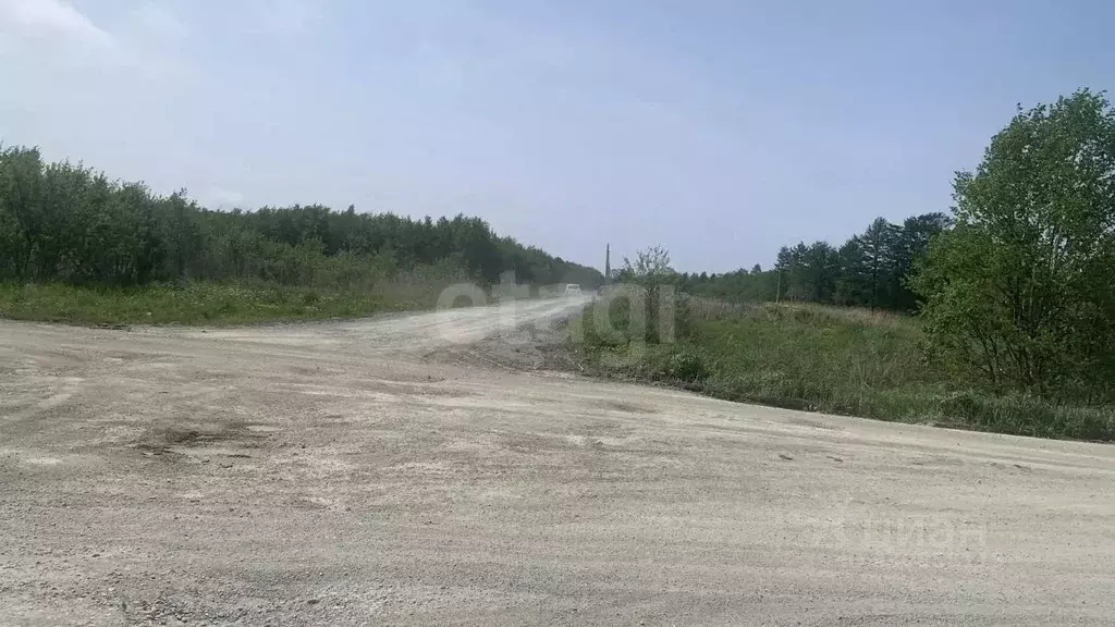 Участок в Сахалинская область, Анивский муниципальный округ, с. ... - Фото 2