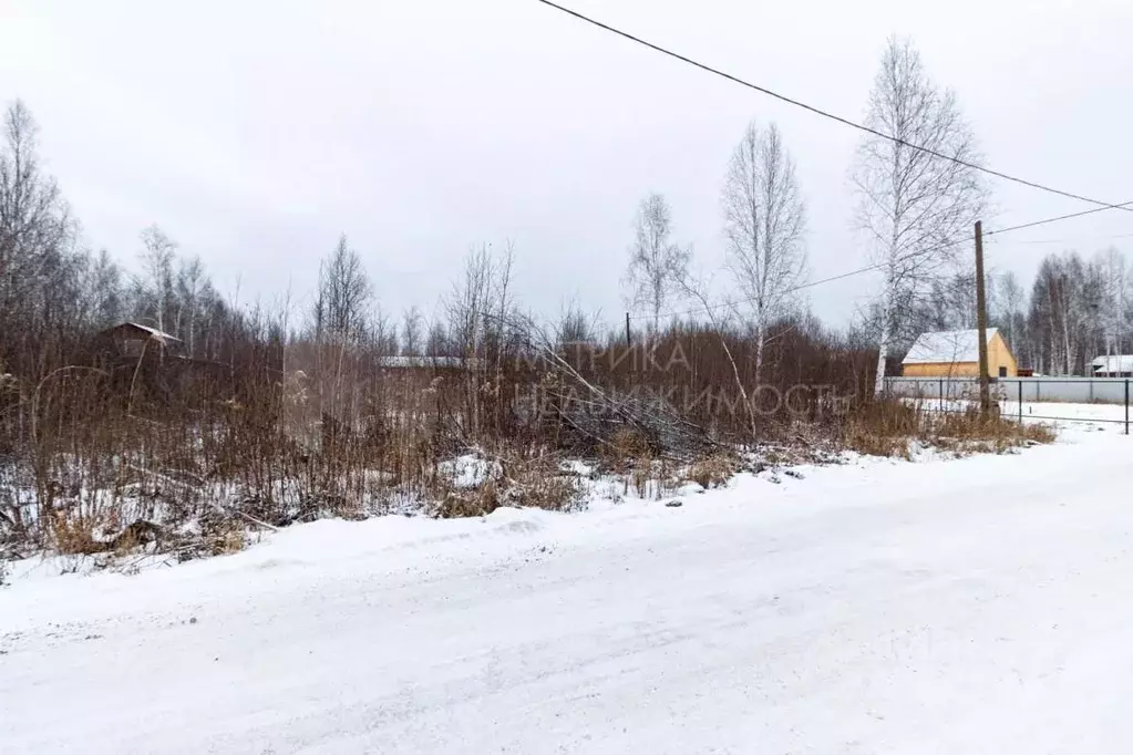 Участок в Тюменская область, Нижнетавдинский район, Сочинское ДНТ  ... - Фото 0