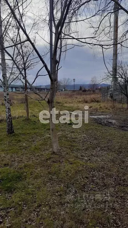 Участок в Краснодарский край, Северская ст-ца  (15.0 сот.) - Фото 0