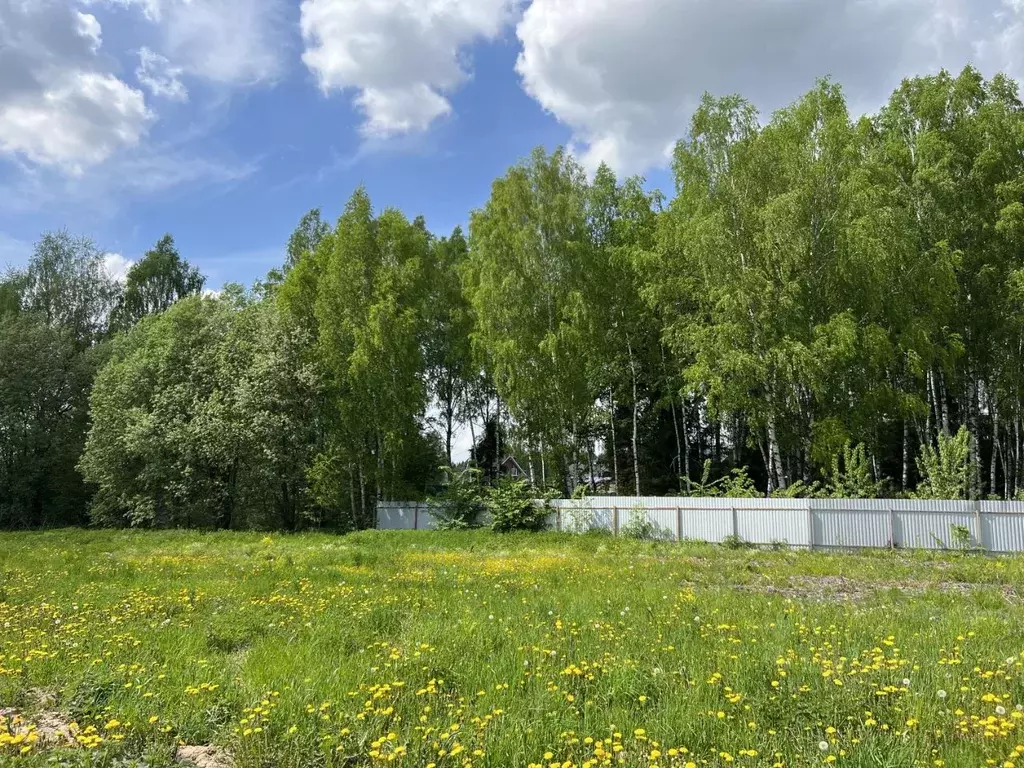 Участок в Московская область, Дмитровский муниципальный округ, д. ... - Фото 2