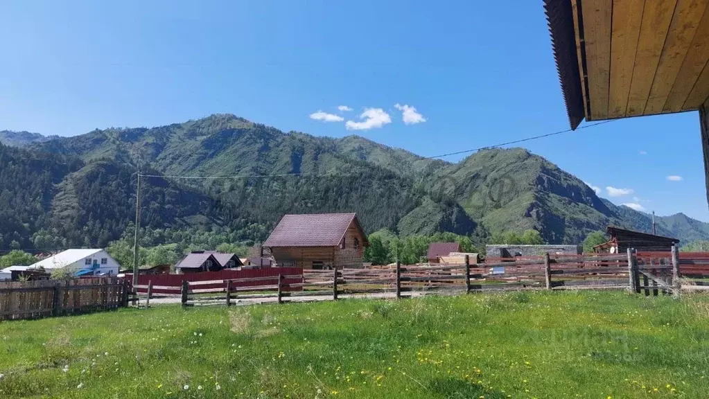 Дом в Алтай, Чемальский район, с. Чемал ул. Эдиганская (39 м) - Фото 1