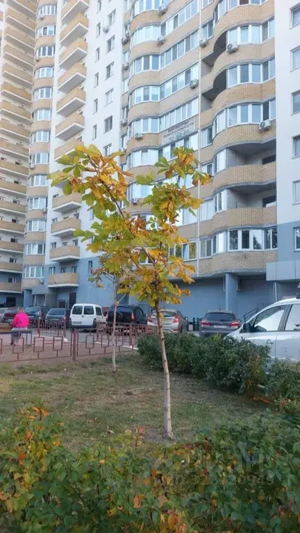 1-к кв. Ульяновская область, Ульяновск ул. Карбышева, 1В (43.0 м) - Фото 1