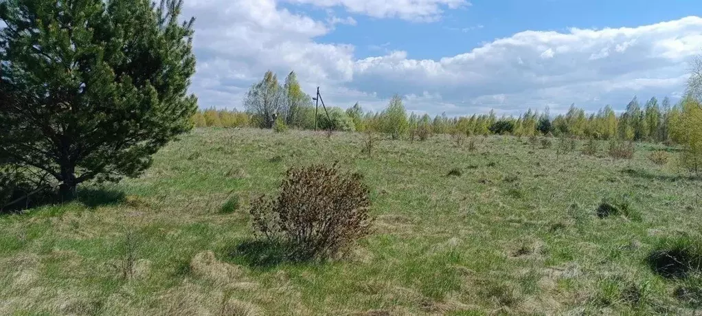 Участок в Псковская область, Гдовский муниципальный округ, д. Великуша ... - Фото 1