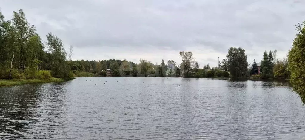 Участок в Санкт-Петербург Сергиево тер.,  (3.78 сот.) - Фото 1