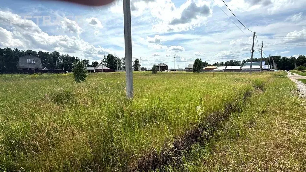 Участок в Новосибирская область, Коченево рп 10-я линия, 1А (10.0 ... - Фото 1