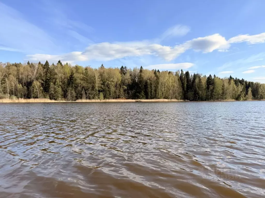 Участок в Московская область, Мытищи городской округ, д. Юрьево  (10.0 ... - Фото 2