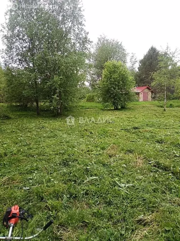 Участок в Вологодская область, Усть-Кубинский муниципальный округ, ... - Фото 1