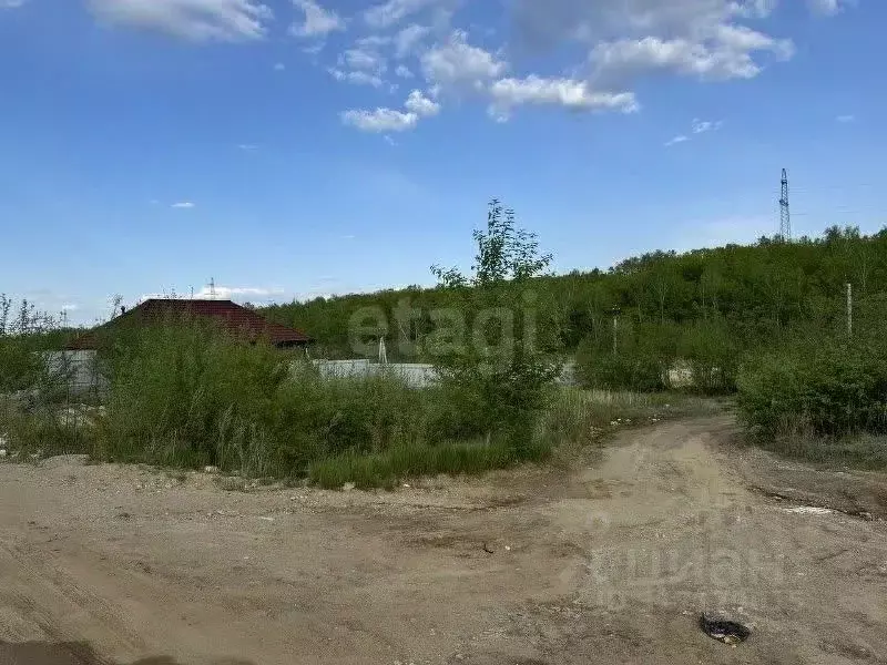 Участок в Амурская область, Благовещенский район, с. Чигири ул. Мира ... - Фото 1