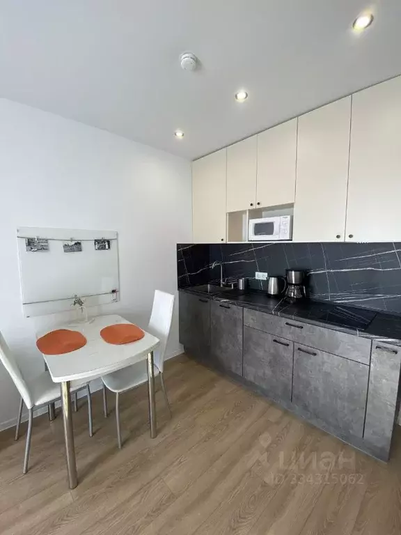 Студия Москва ул. Римского-Корсакова, 11к11 (24.0 м) - Фото 2