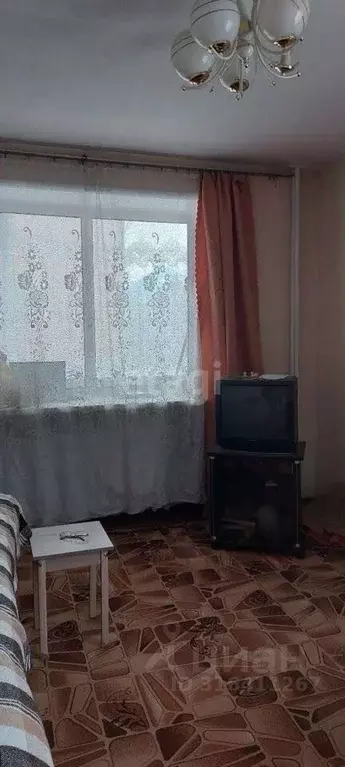 2-к кв. Амурская область, Ивановский муниципальный округ, с. Березовка ... - Фото 0