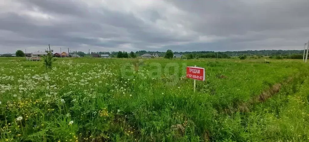 Участок в Вологодская область, Шекснинский муниципальный округ, д. ... - Фото 1
