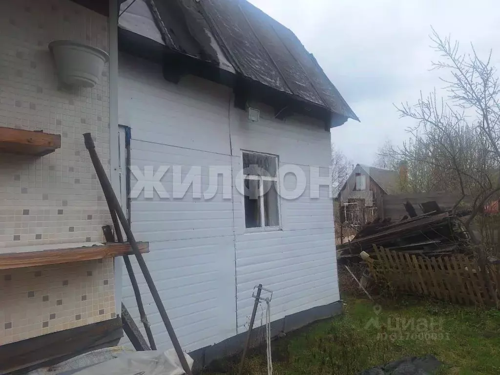 Участок в Новосибирская область, Новосибирск Лилия СНТ, ул. ... - Фото 1