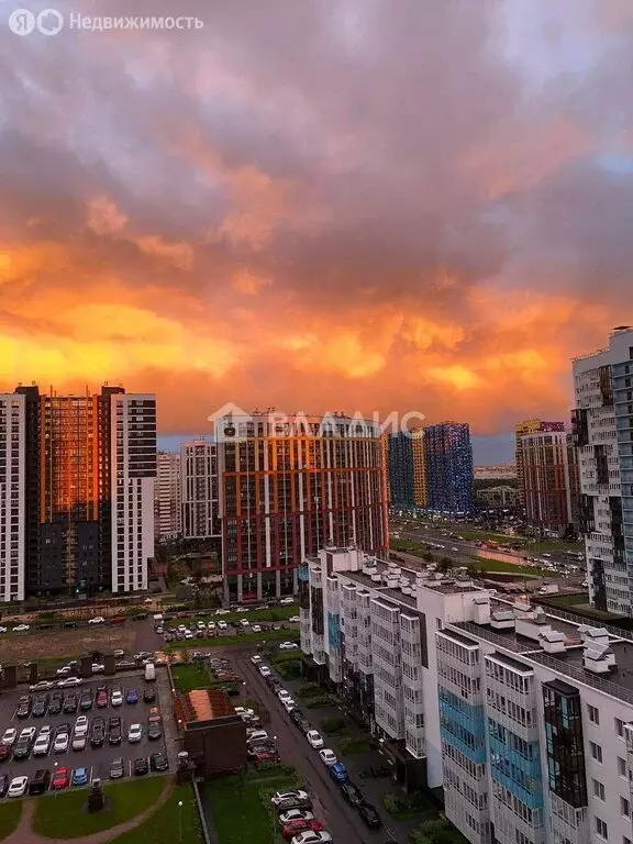 Квартира-студия: Санкт-Петербург, Плесецкая улица, 20к1 (24.4 м) - Фото 0