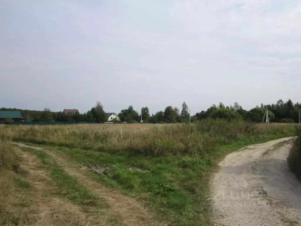 Участок в Тульская область, Алексинский район, с. Сотино  (15.0 сот.) - Фото 1