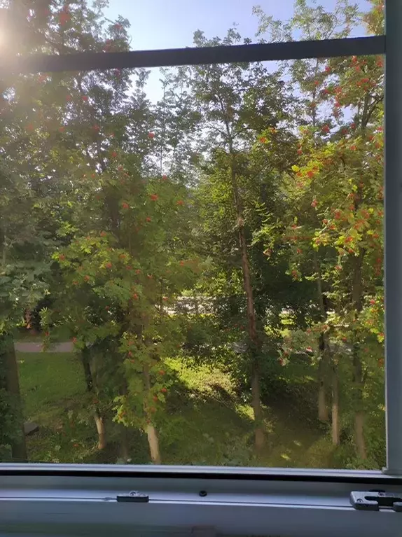 3-к кв. Московская область, Домодедово Авиационный мкр, просп. ... - Фото 2