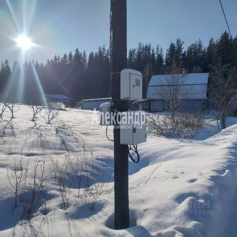 Участок в Ленинградская область, Выборгский район, Селезневское с/пос, ... - Фото 1