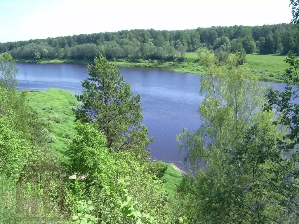 Участок в Тверская область, Старицкий муниципальный округ, деревня ... - Фото 1