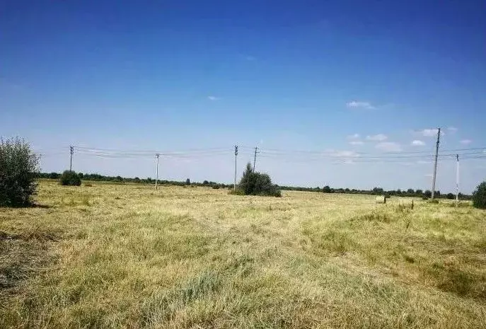 Участок в Краснодарский край, Анапа муниципальный округ, с. ... - Фото 1