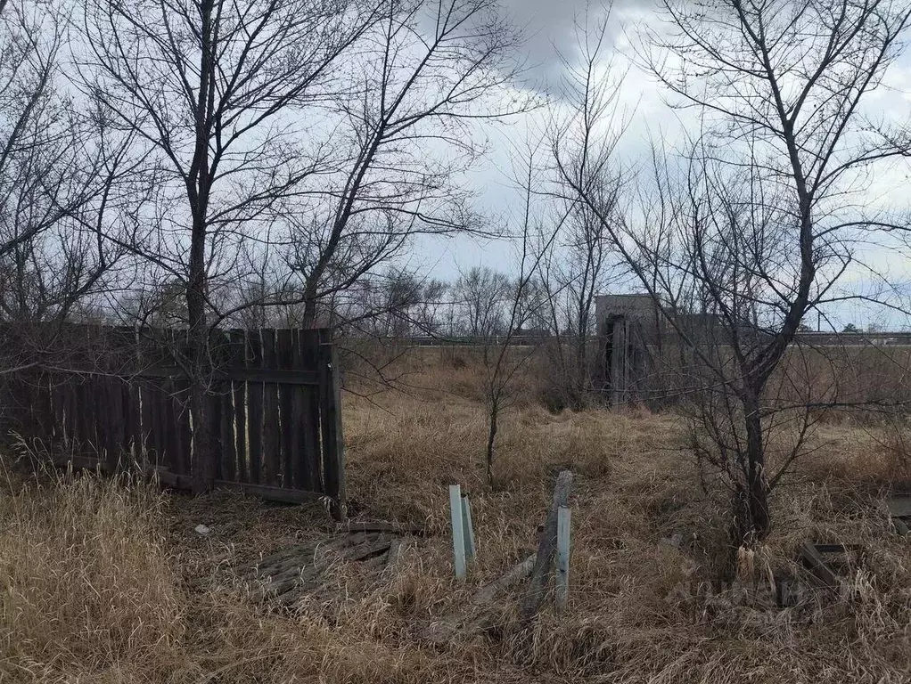 Дом в Хакасия, Усть-Абакан рп, Родничок-2 СНТ ул. Березовая, 25 (18 м) - Фото 1
