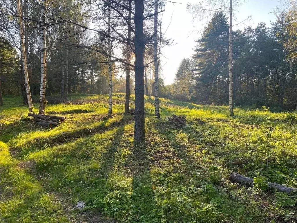 Участок в Ленинградская область, Лужский район, Серебрянское с/пос, д. ... - Фото 1