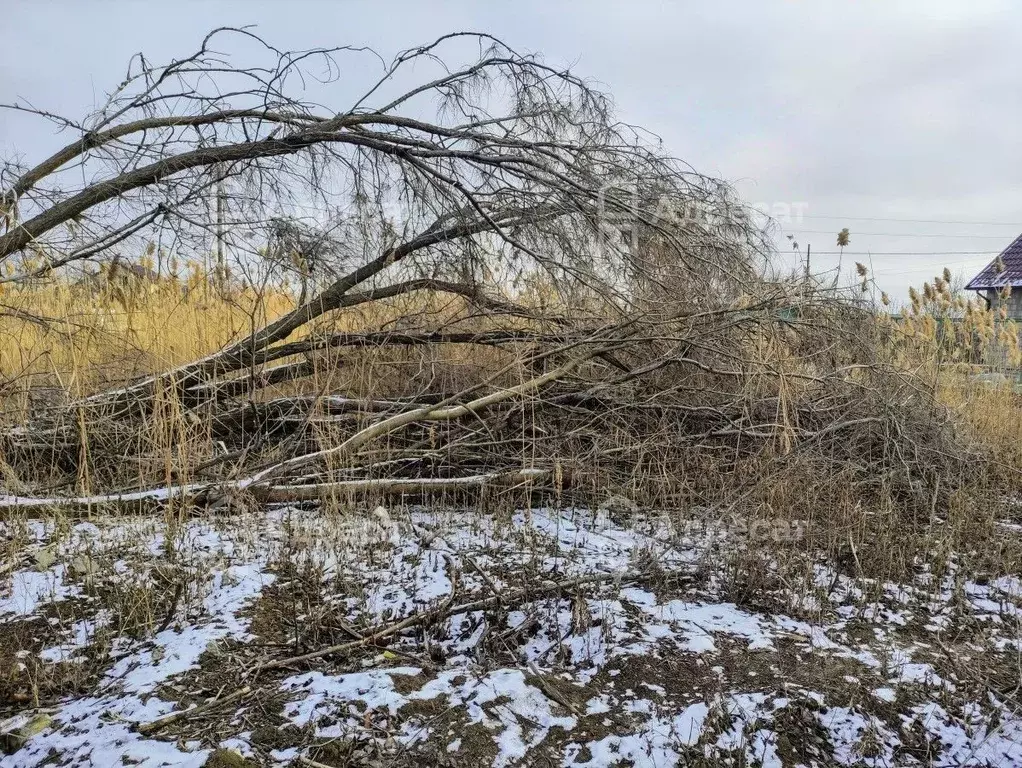 Участок в Волгоградская область, Светлоярский район, Кировское с/пос, ... - Фото 1