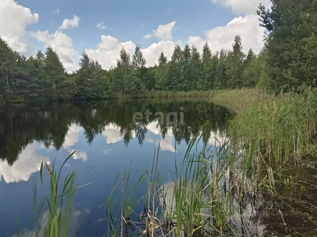 Дом в Тверская область, Тверь Бор садоводческое товарищество,  (190 м) - Фото 0