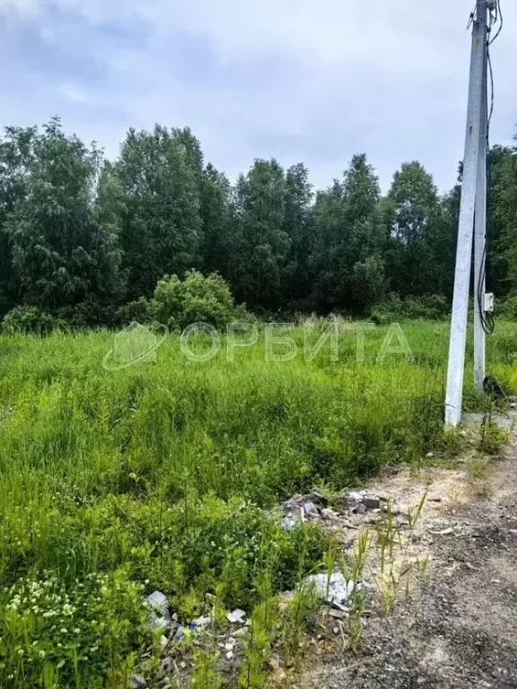 Участок в Тюменская область, Тюмень Якорь садовое товарищество, ул. ... - Фото 2