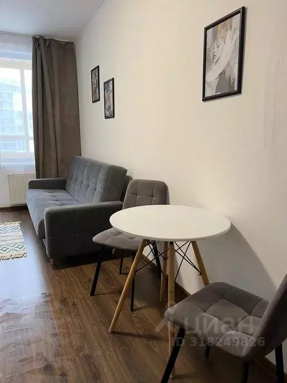 Студия Санкт-Петербург аллея Арцеуловская, 21 (26.0 м) - Фото 1