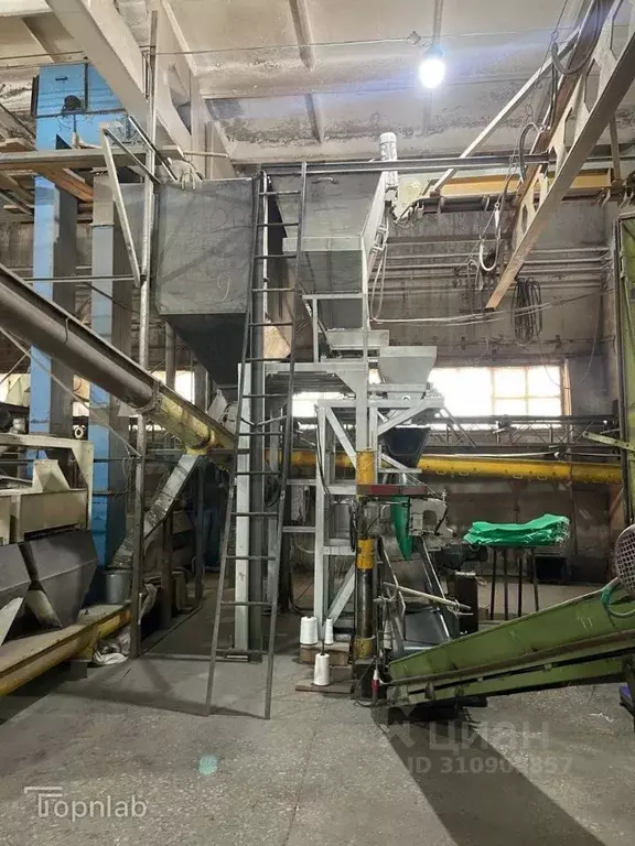 Производственное помещение в Алтайский край, Рубцовск ул. Некрасова, 8 ... - Фото 2