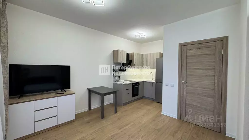 Студия Ленинградская область, Всеволожский район, Свердловское ... - Фото 1