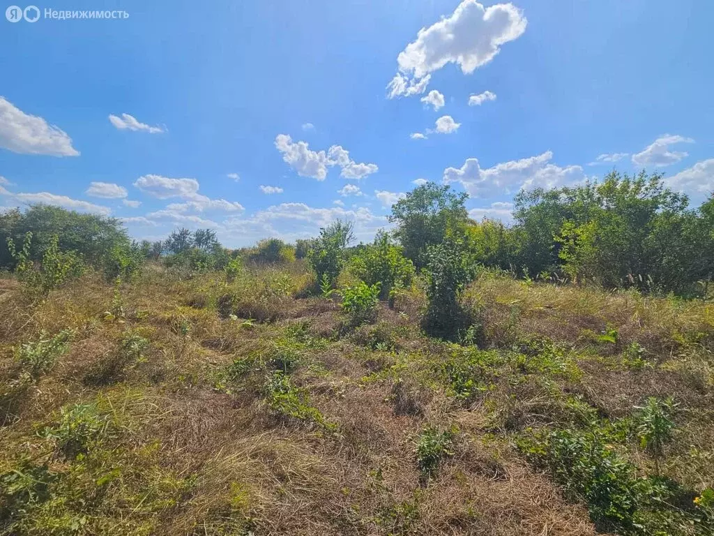 Участок в Абинск, садовое товарищество Нива (12 м) - Фото 1