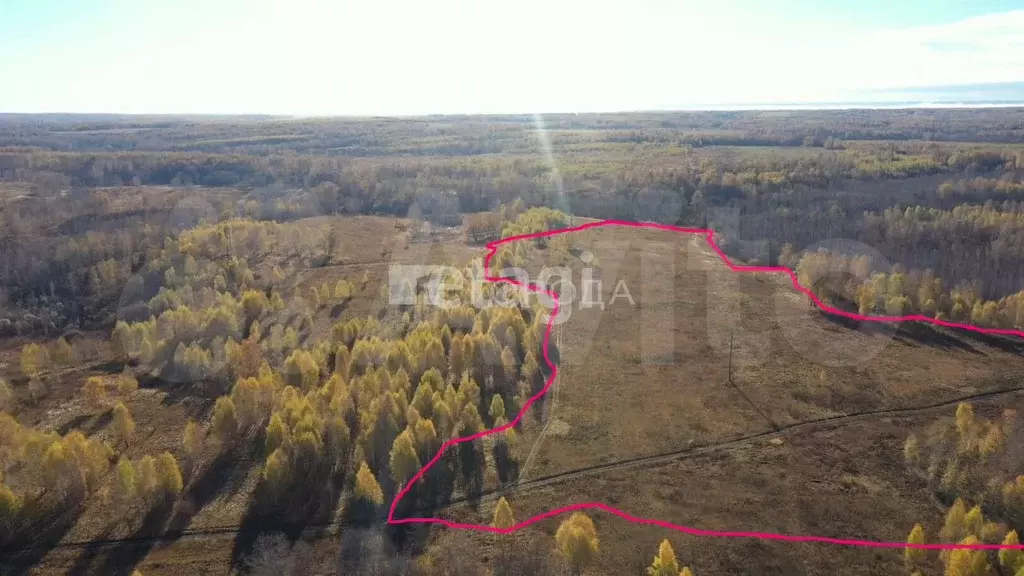 Участок 12,1 сот. (ИЖС) - Фото 0