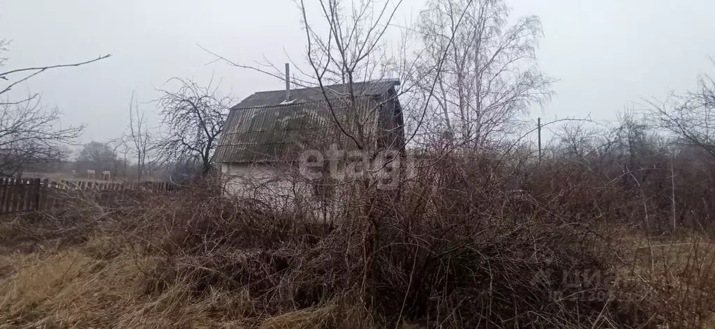 Дом в Белгородская область, Губкинский городской округ, Дубравка хут. ... - Фото 1