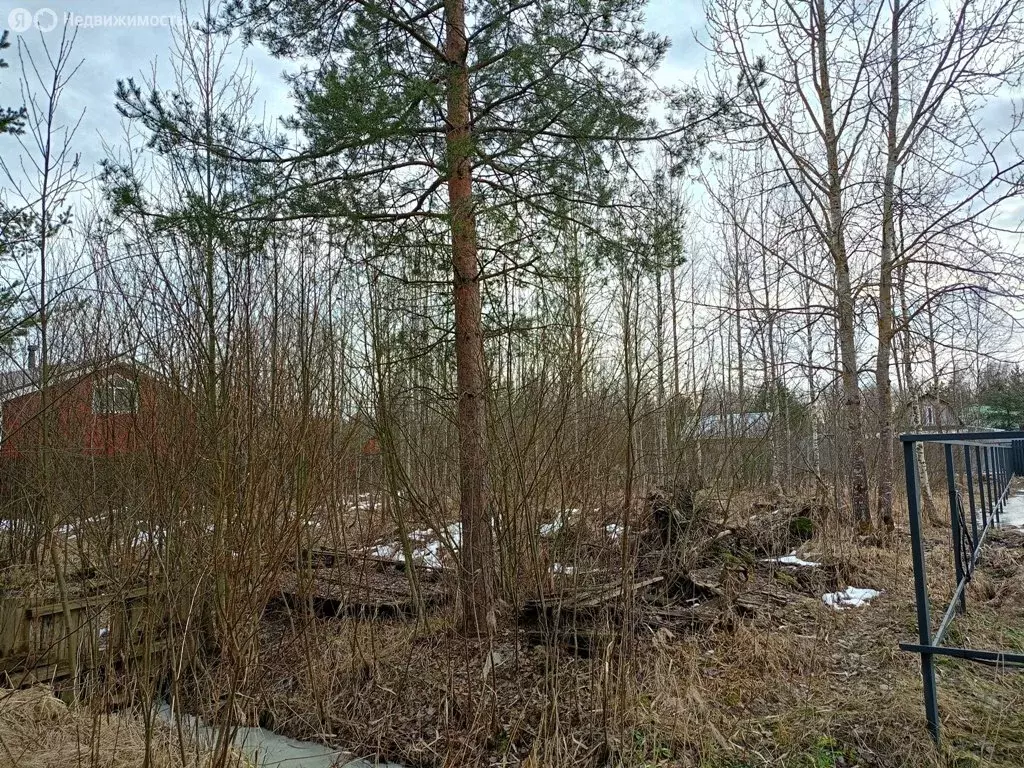 Участок в Кировский район, Отрадненское городское поселение, СНТ ... - Фото 0