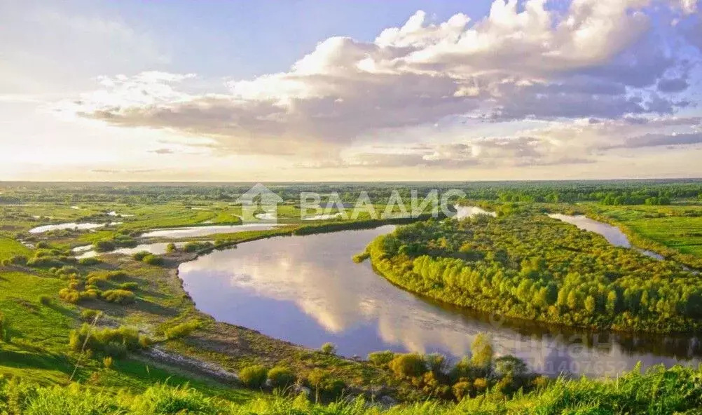 Участок в Владимирская область, Гороховецкий район, Куприяновское ... - Фото 0