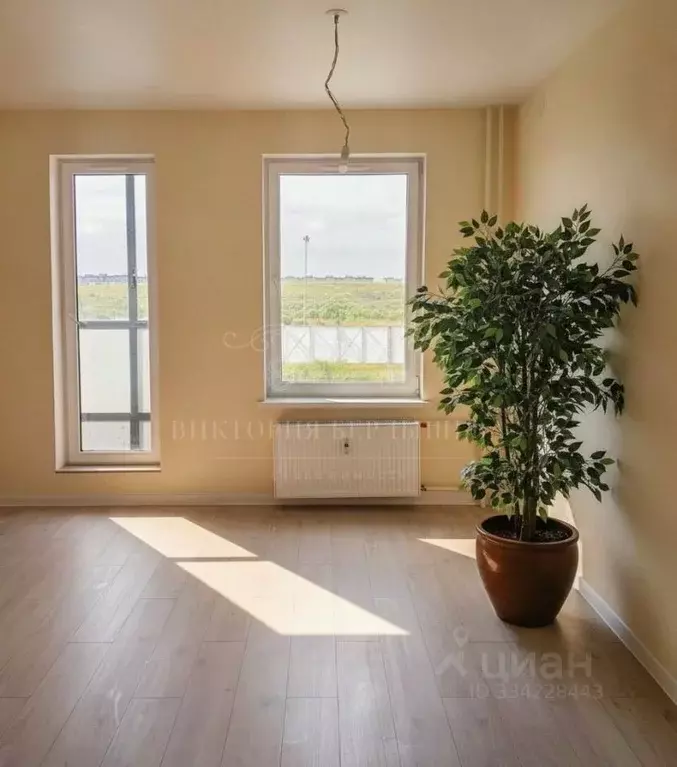 Студия Санкт-Петербург пос. Шушары, Московское ш., 325к1 (28.4 м) - Фото 1