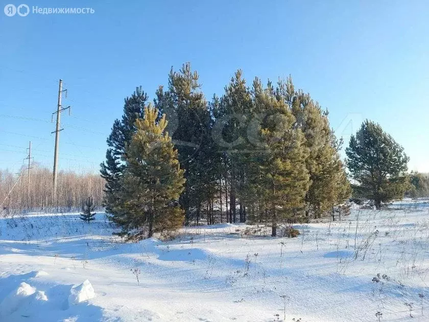 Участок в Нижнетавдинский район, Черепановское сельское поселение (8 ... - Фото 0