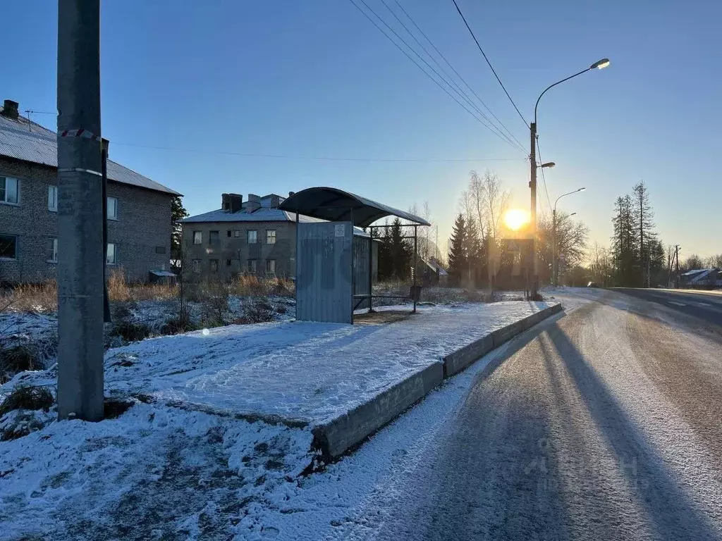 Участок в Ленинградская область, Всеволожский район, Куйвозовское ... - Фото 2