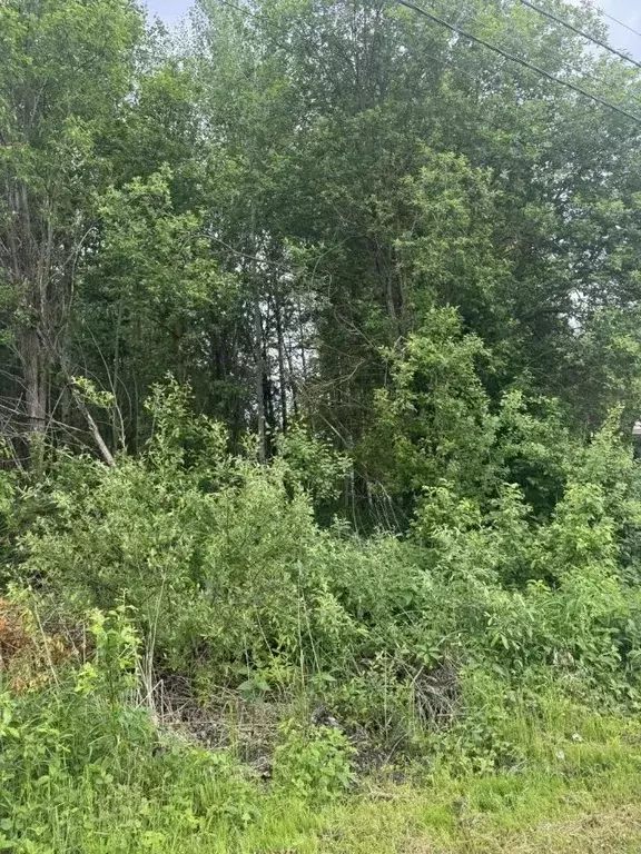 Участок в Тверская область, Конаковский муниципальный округ, Ремонтник ... - Фото 0